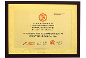 廣東省電子商務商會常務副會長