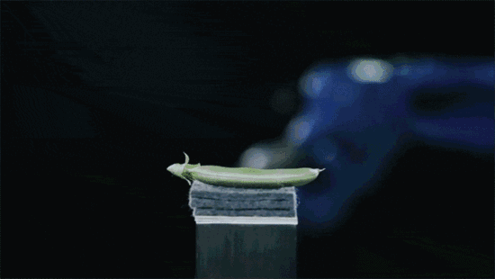 <strong>中國精密減速器技術如何趕超日本</strong>